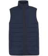 RG652 (TRA935)RG642 Essential Thermal Bodywarmer Navy colour image
